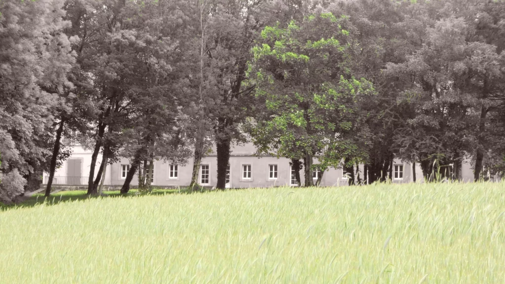 La Bodhi Tree House de La Boulaye permet à plusieurs thérapeutes de dispenser leurs activités. Dominique Frau est référente de ce lieu de bien être et de sérénité. Son cabinet de thérapeute est situé dans cet établissement. Des activités de yoga tibétain, des retraites de méditation, et bien d'autres stages y sont régulièrement organisés.